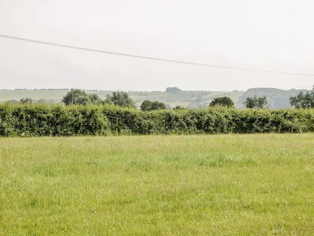 Waylands