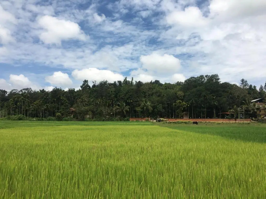 Raindrops Resorts Wayanad