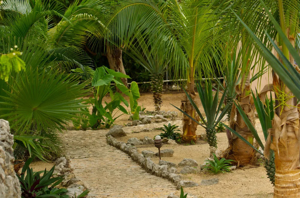 Villa Tortugas Residence