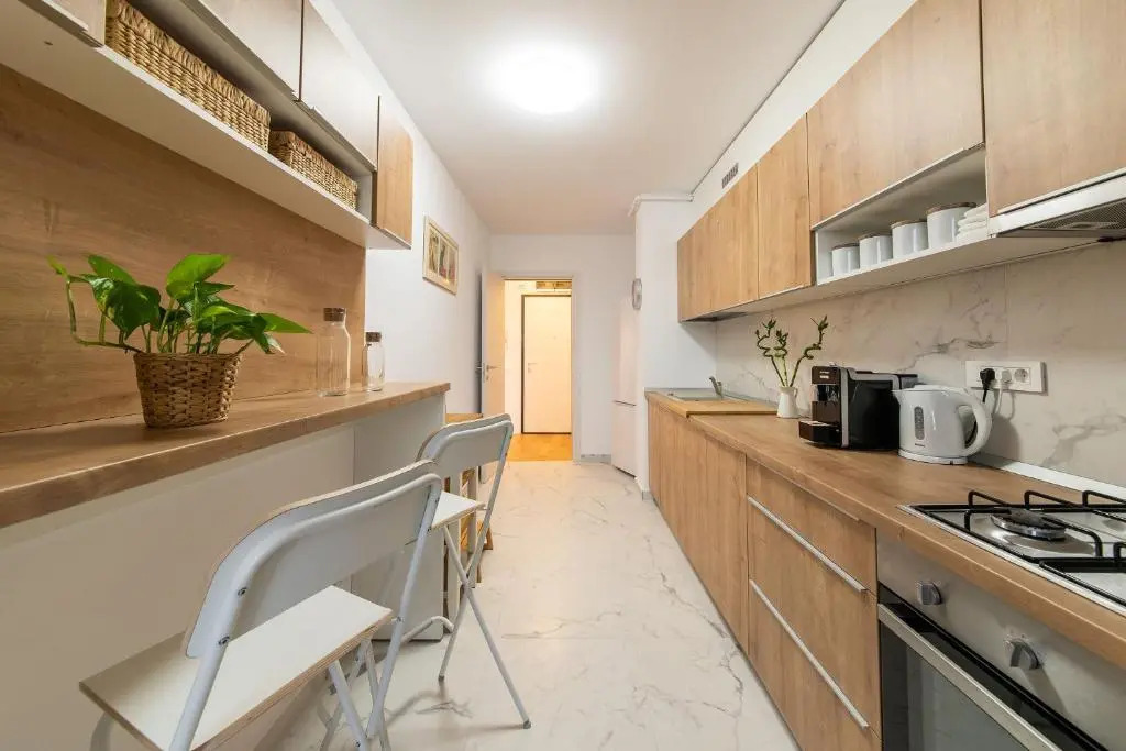 North Cozy Apartment - Aviatiei