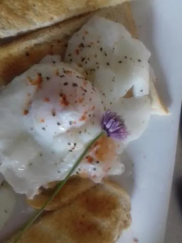 Westhouse Cafe N39 E0A6