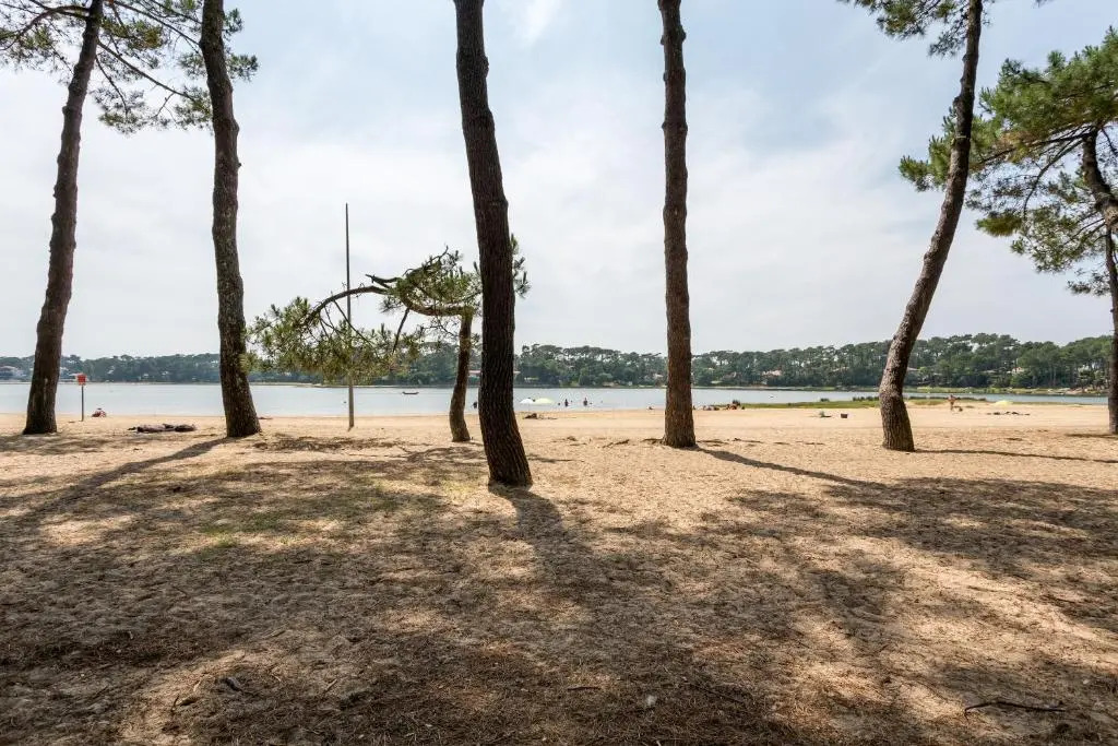 Lake Apart