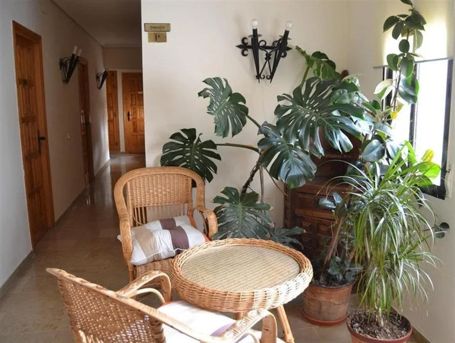 Hostal Los Claveles