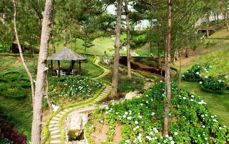 Rung Hoa Hotel