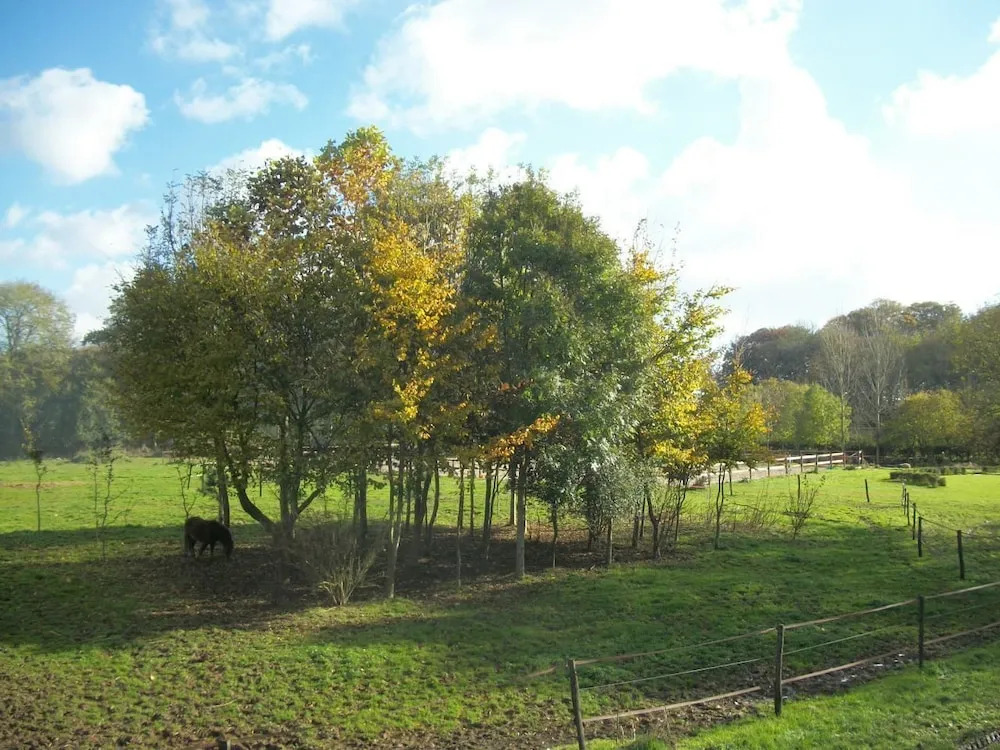 Le Manoir de Briquedalles