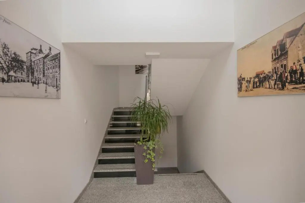 Apartment Petra