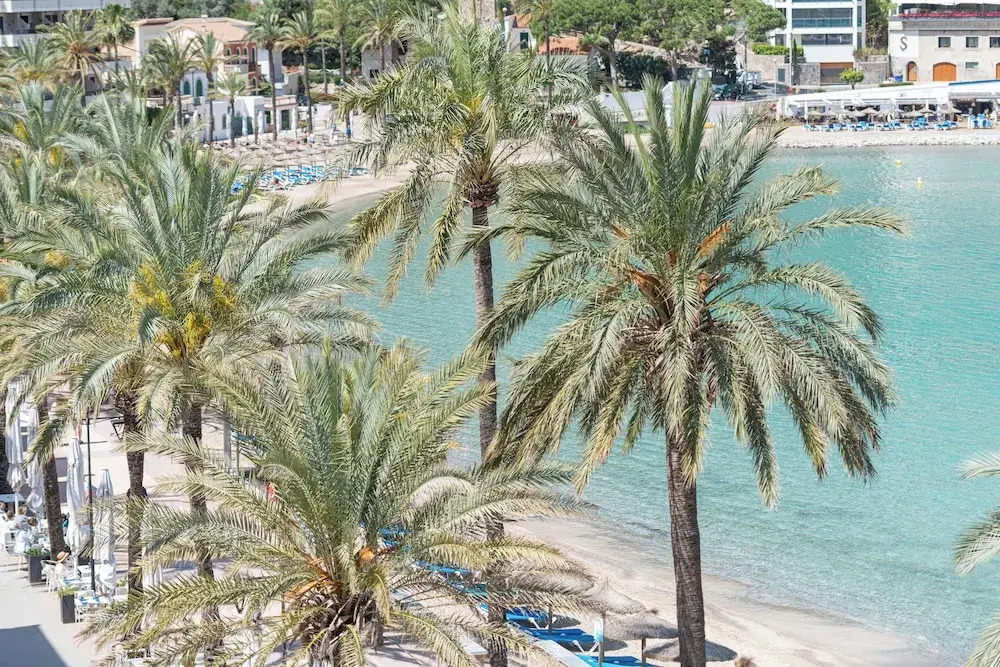 Repic Apartments Soller