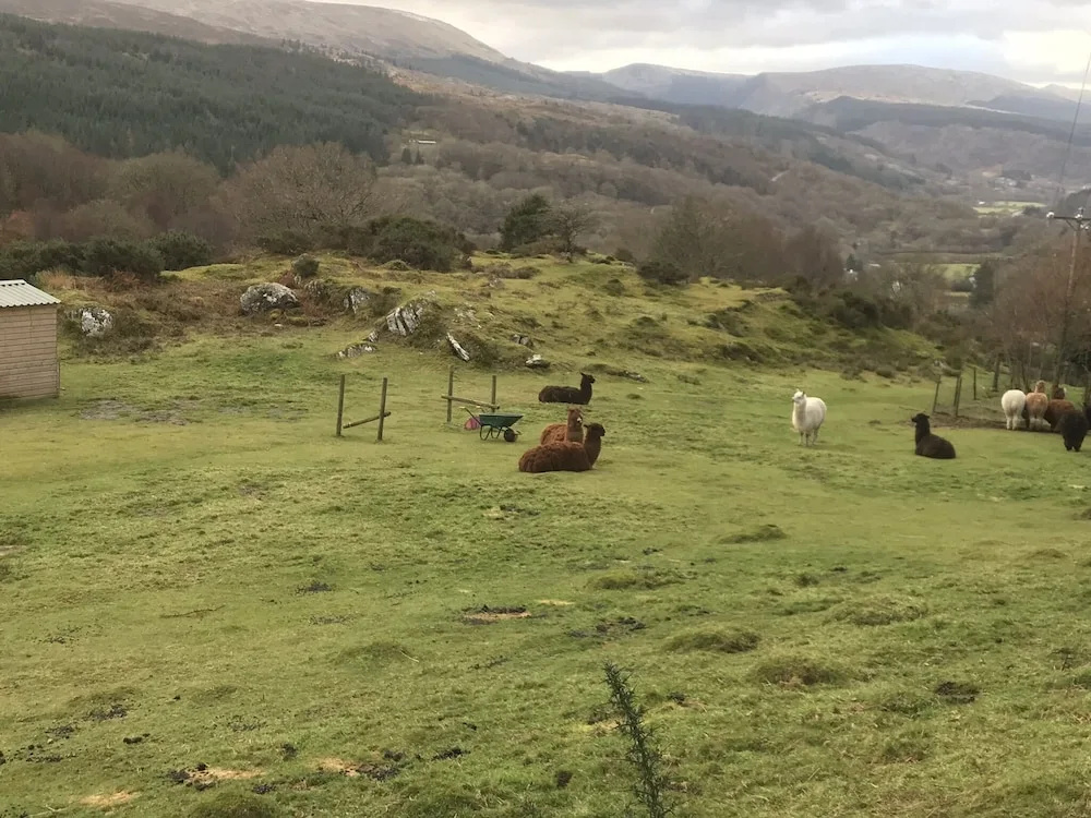 Impeccable 2-bed Cottage Near Betws y Coed