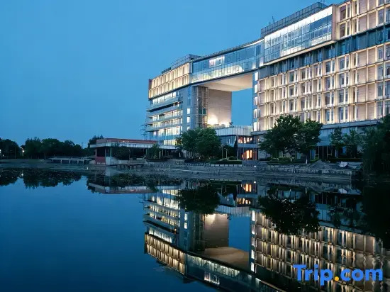 M·S Bauhinia Hotel