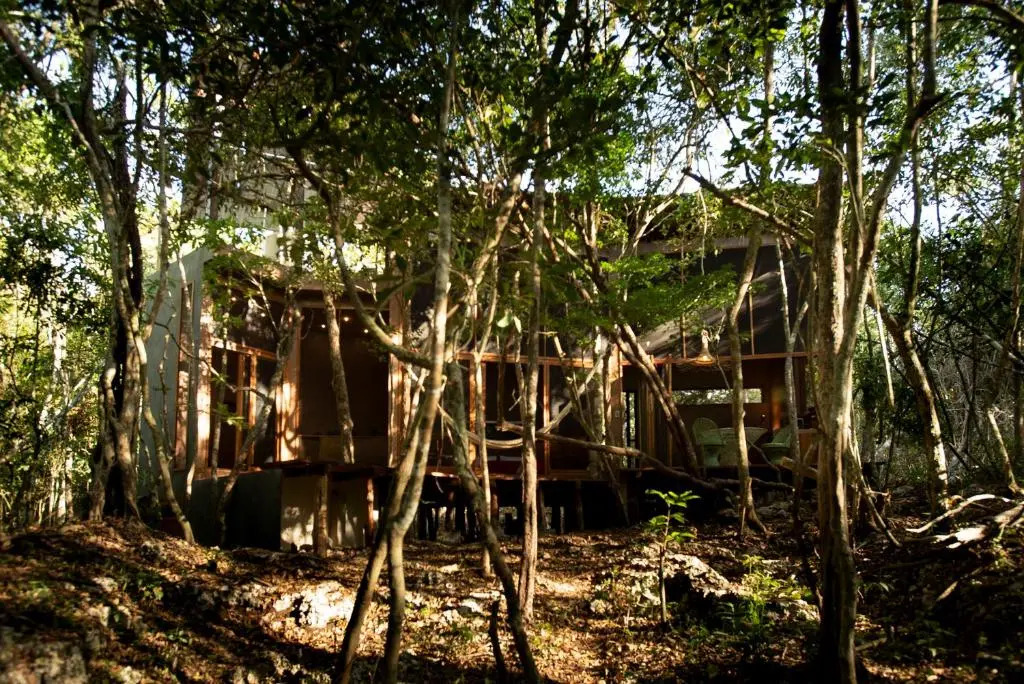 OJO DE ÁRBOL, boutique cabin in the jungle. Relax