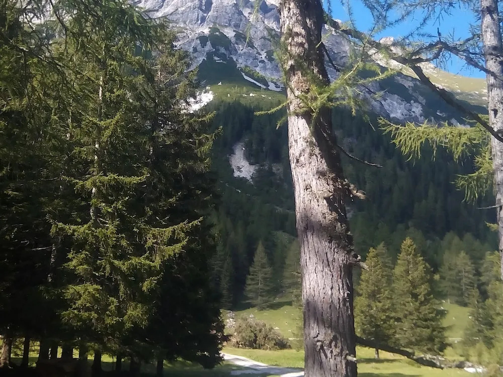 Modern Chalet in Mauterndorf With Garden
