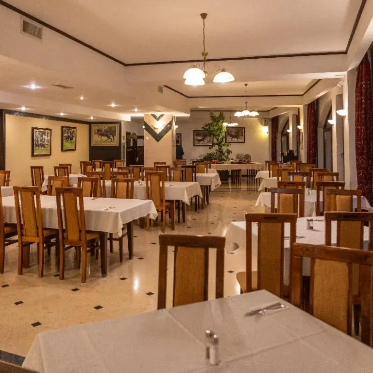 Hotel Casa Viorel jacuzzi & saunas