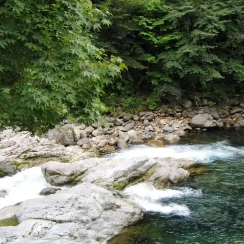 Shitajima Onsen Senyukan