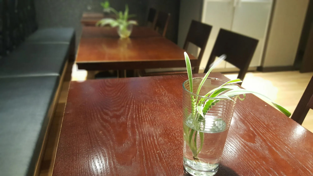 Forêt Guest House Gangnam