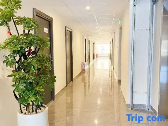 Meet You at Light Luxury Homestay (Longquan Road University of Finance and Economics Branch)
