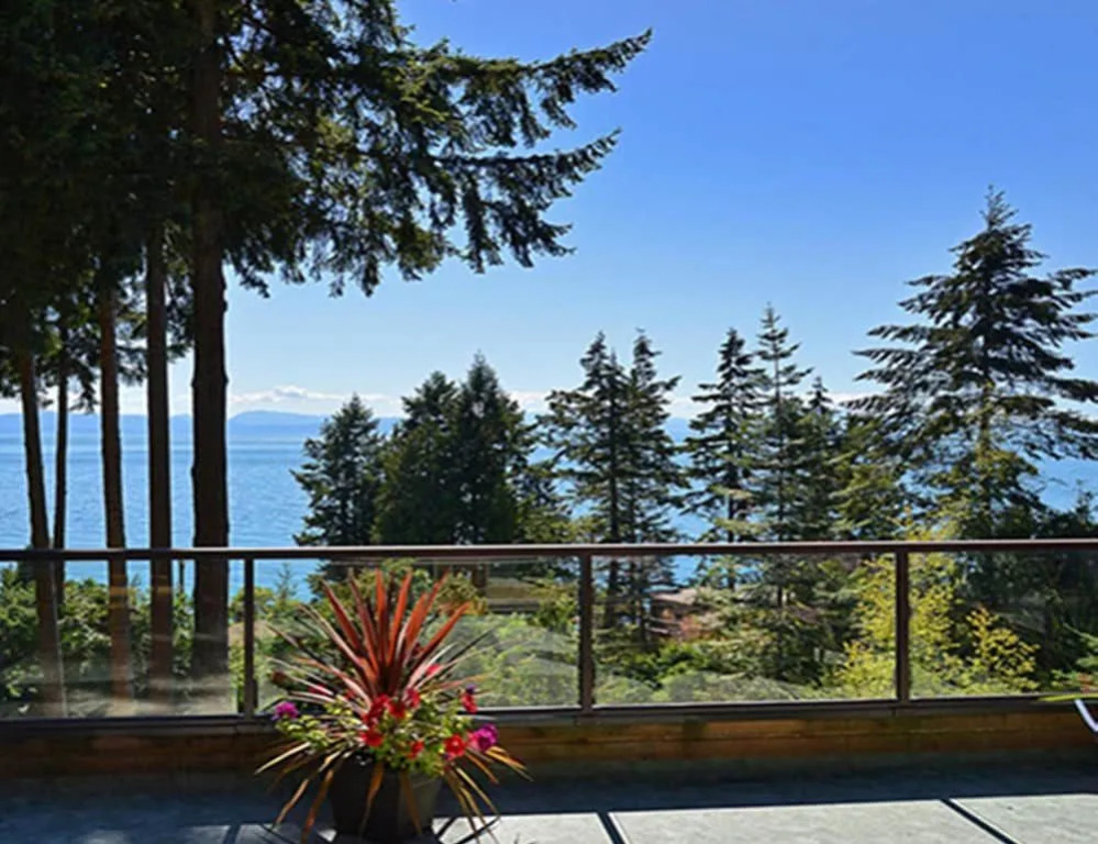 Sunshine Coast Treetop Wonderland