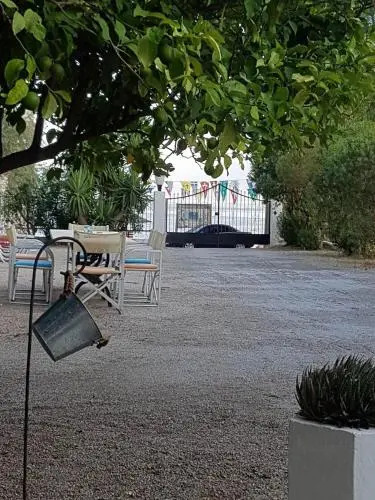 Oasis Studios AG PANTES