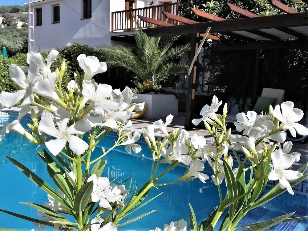 Cortijo Berruguilla