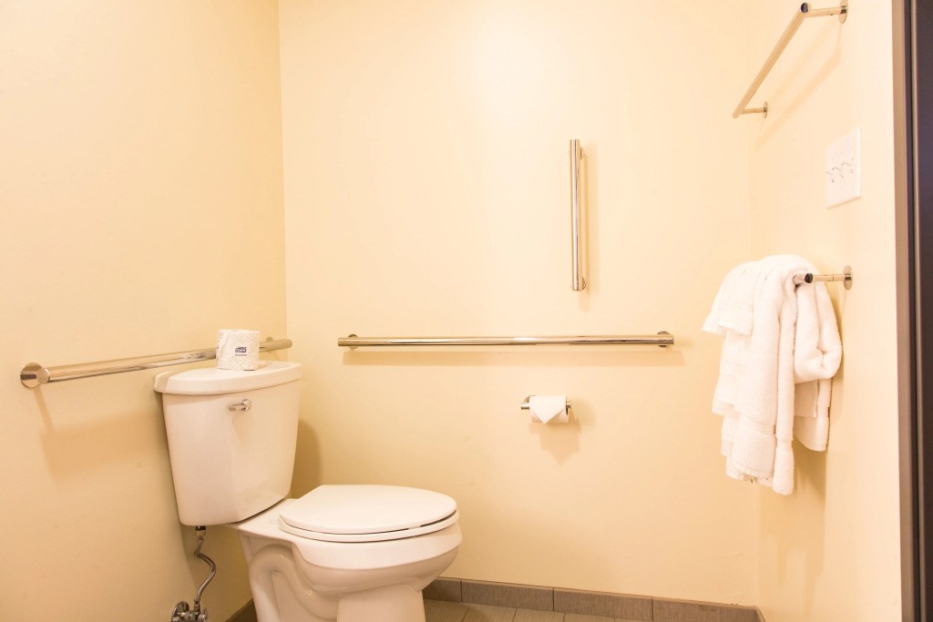 Holiday Inn Hotel & Suites - Mount Pleasant by IHG