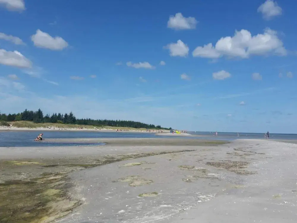 4 Star Holiday Home in Hals