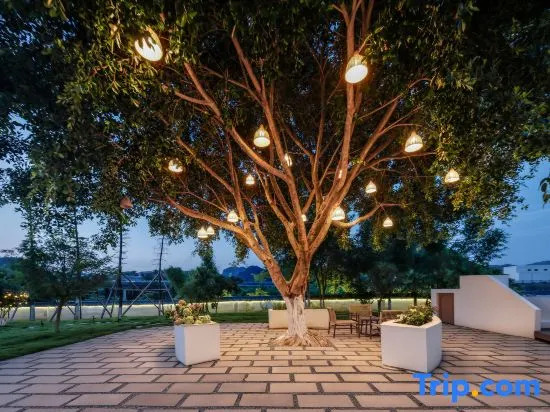 Qiyunli Boutique Homestay