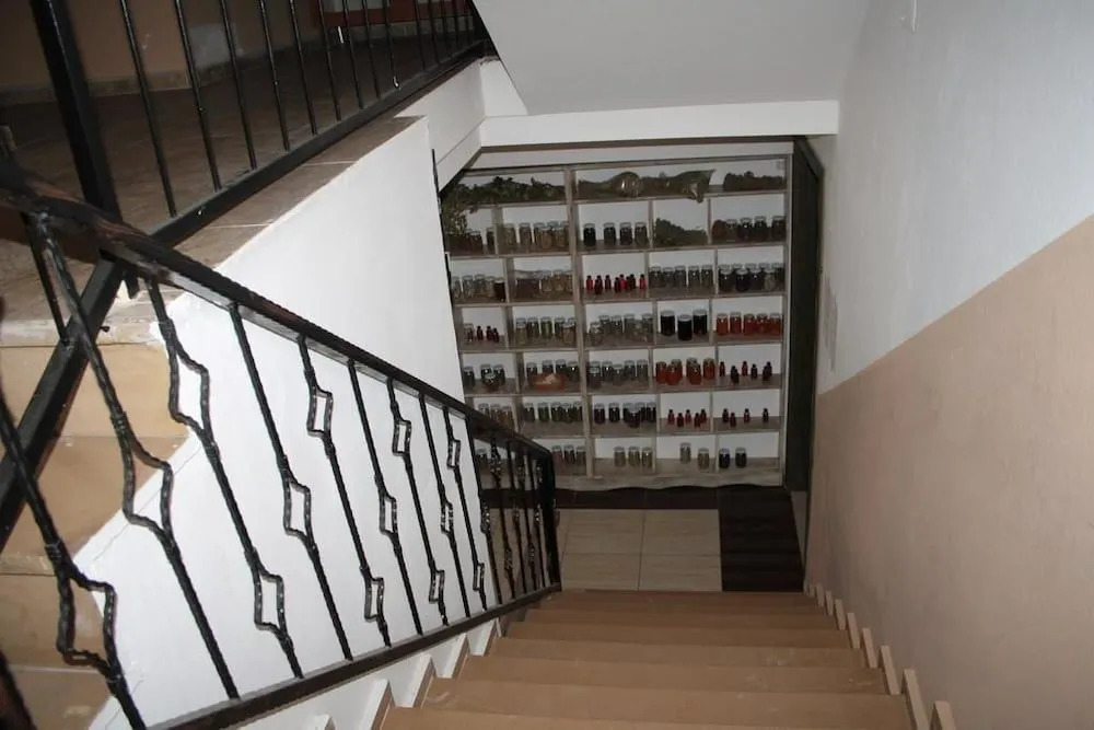 Kucukkuyu Gumus Hotel