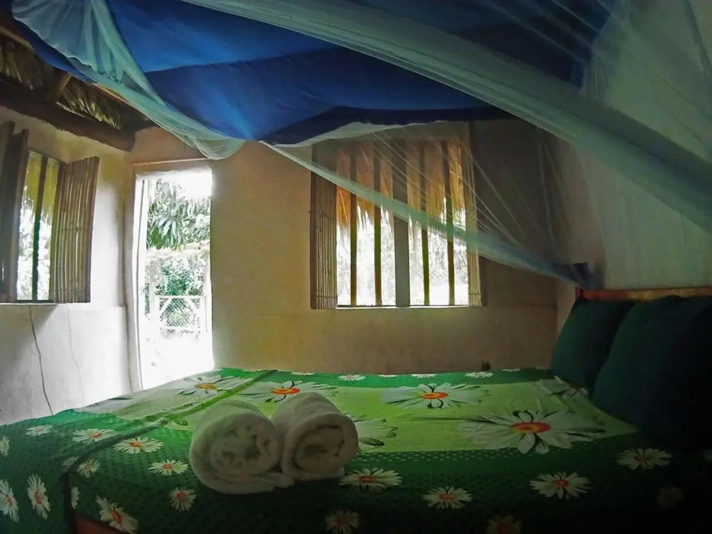 El Zopilote - Hostel