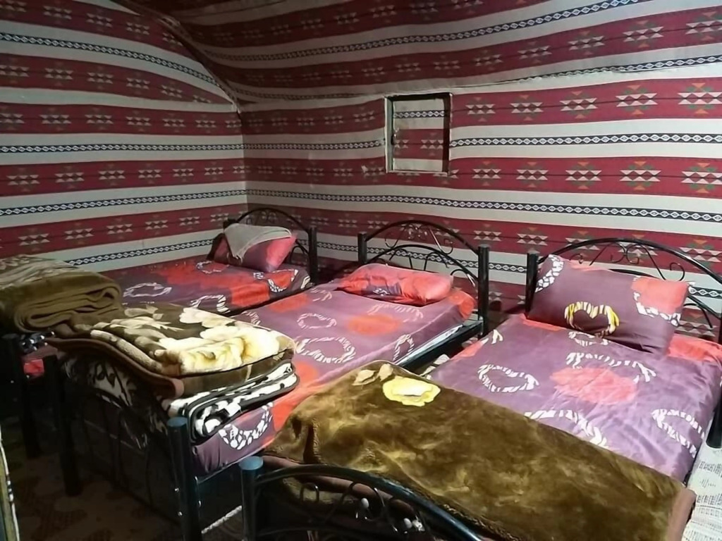 Wadi Rum Safari Camp & Trips