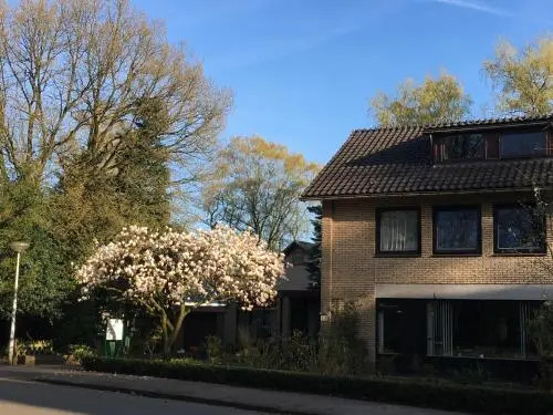 De IJsvogel