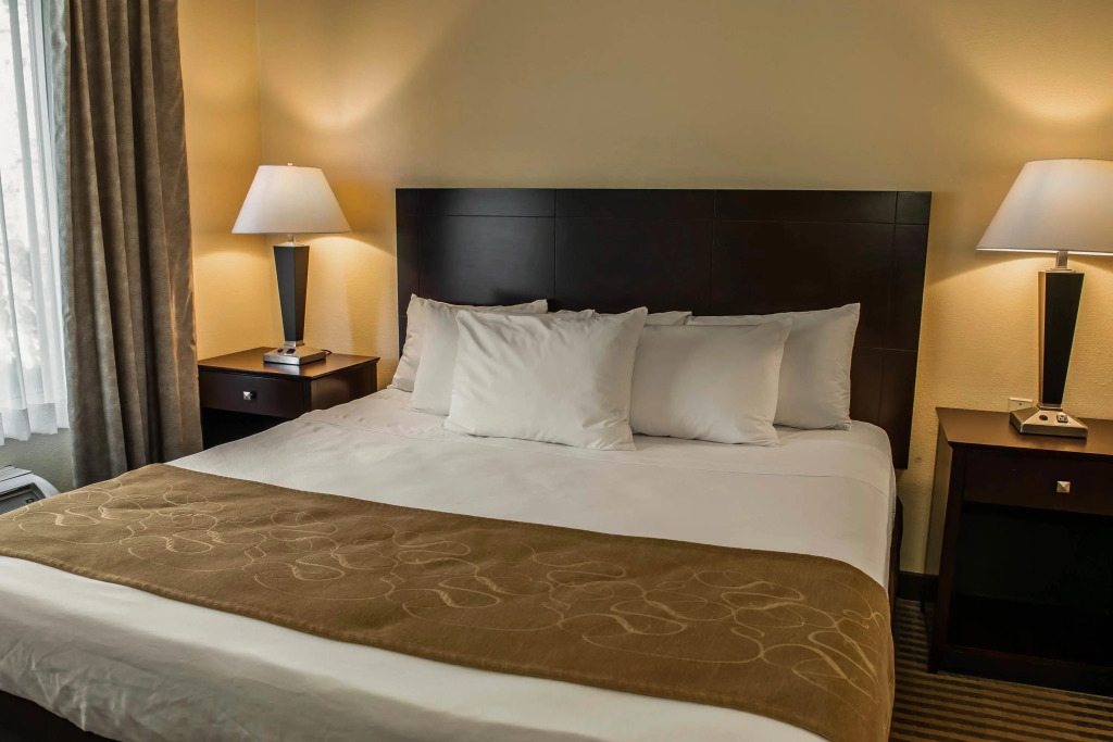 Comfort Suites Lafayette University Area