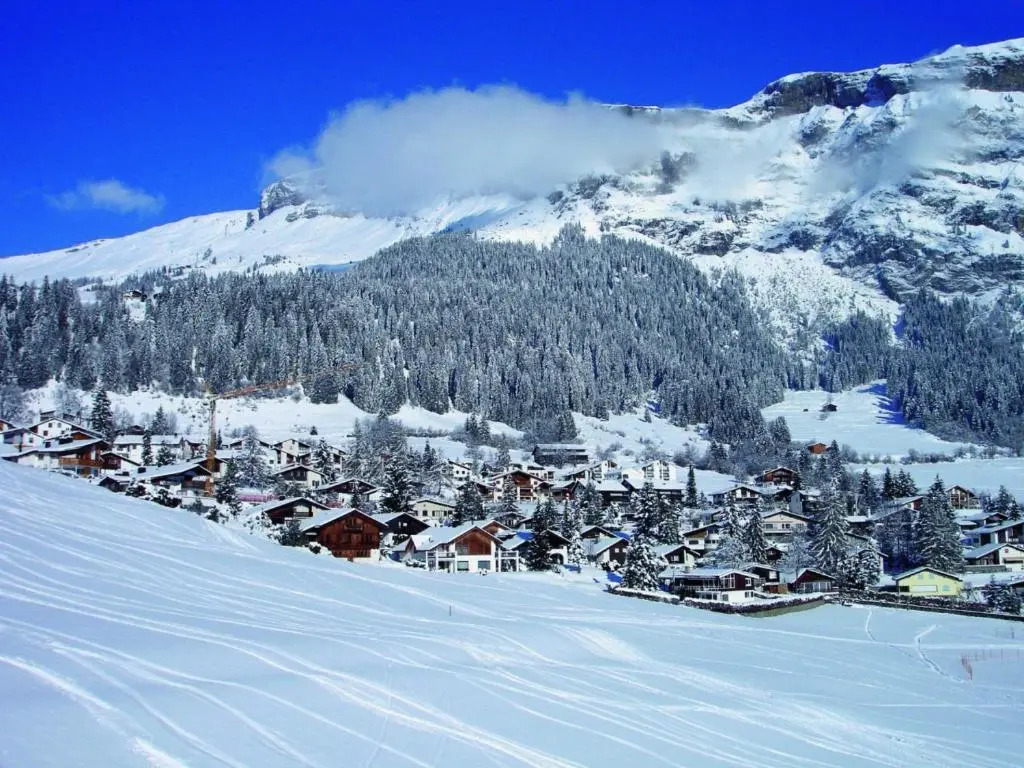 Hotel des Alpes