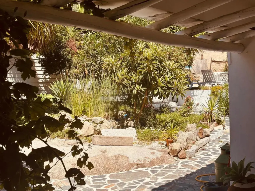 Casa Rico Frade Garden