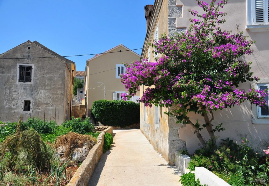 Oasis - A2(4+1) in Veli Rat