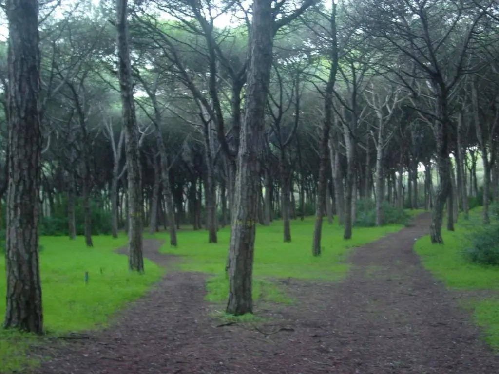 Caparica Sun Centre