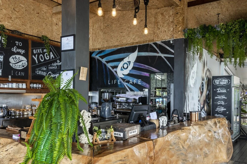Vikasa Yoga Retreat