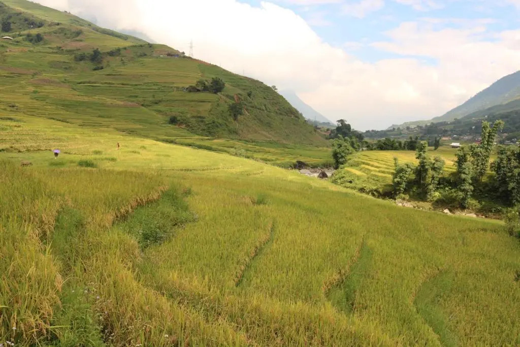 SaPa Farmer House