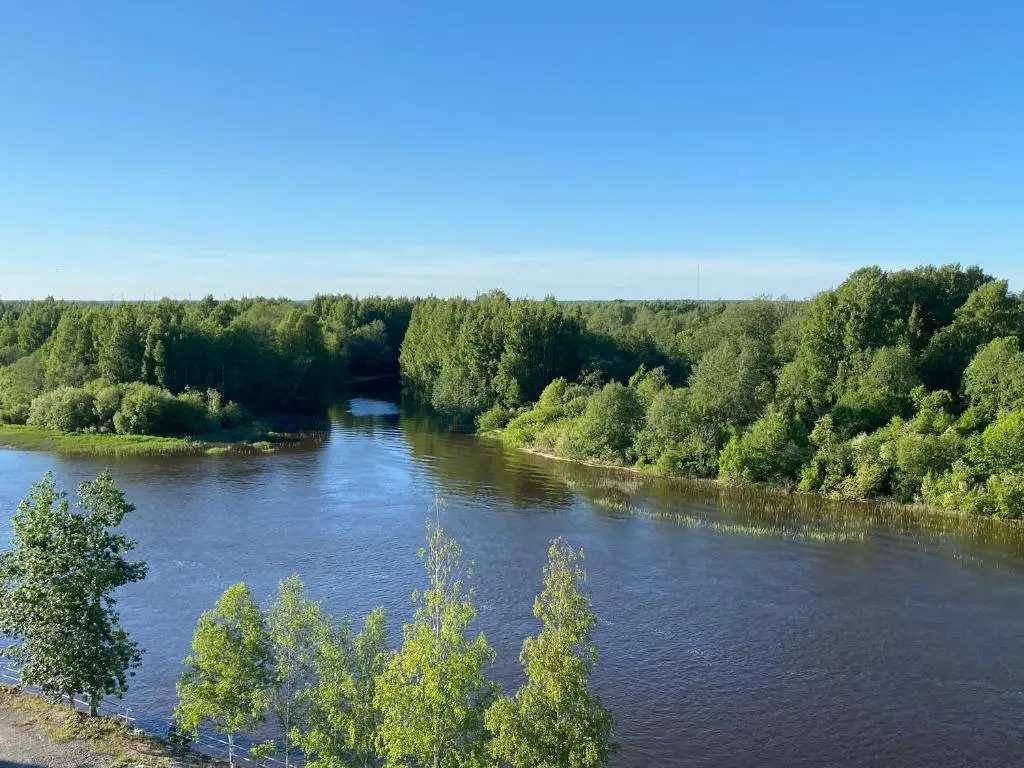 River 29, Baritoni