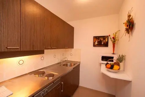 Hotel Appartement Winkler