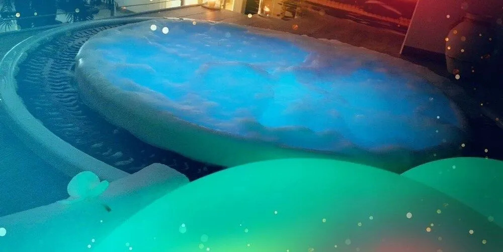Hôtel Spa Les Alpes