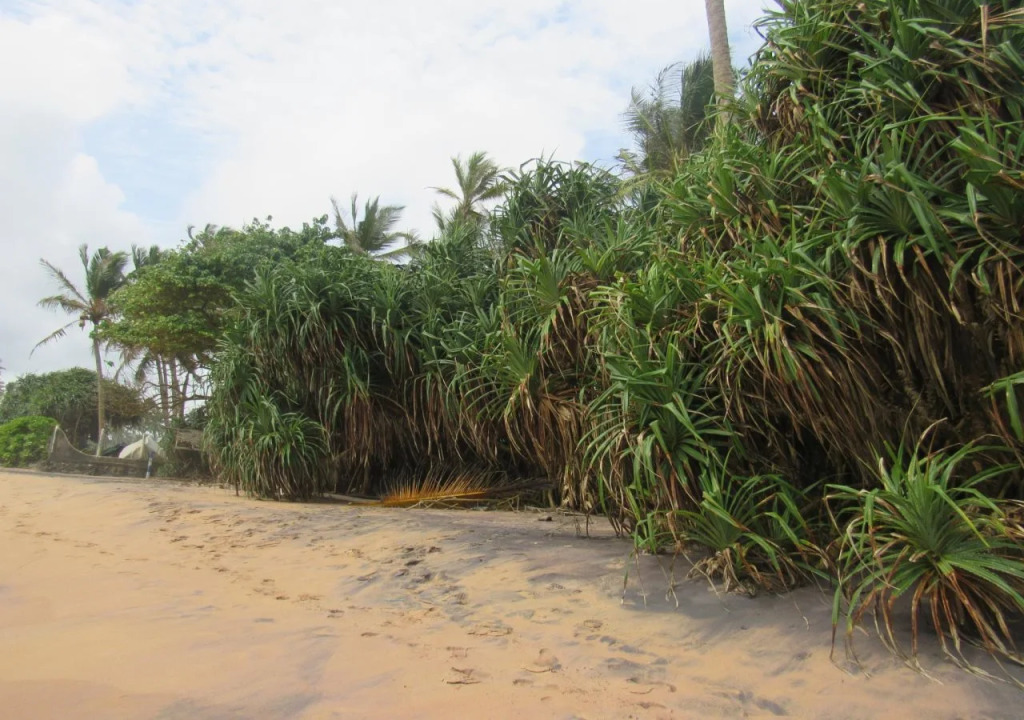 Leatherback Beach Villa