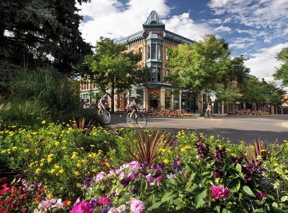 Old Town Condo Near CSU Pool, Sauna, Gym & Bikes