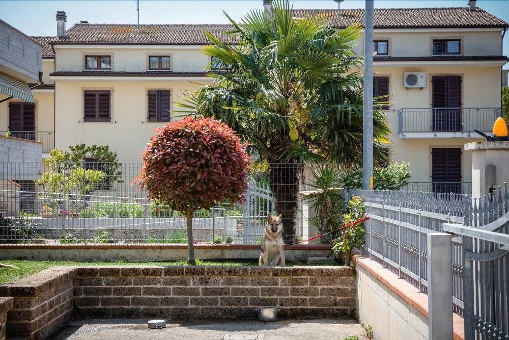 B&B Il Tiglio