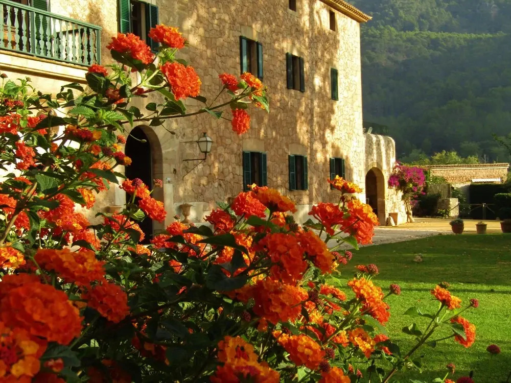 Finca Son Brondo