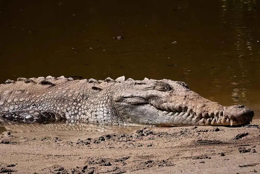 Casa Coco de Mer 2