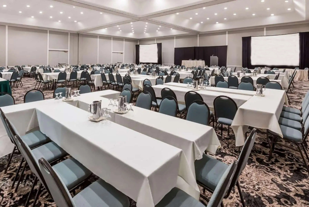 Wyndham Houston near NRG Park - Medical Center