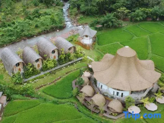ภูคานาน่าน รีสอร์ท phukananan