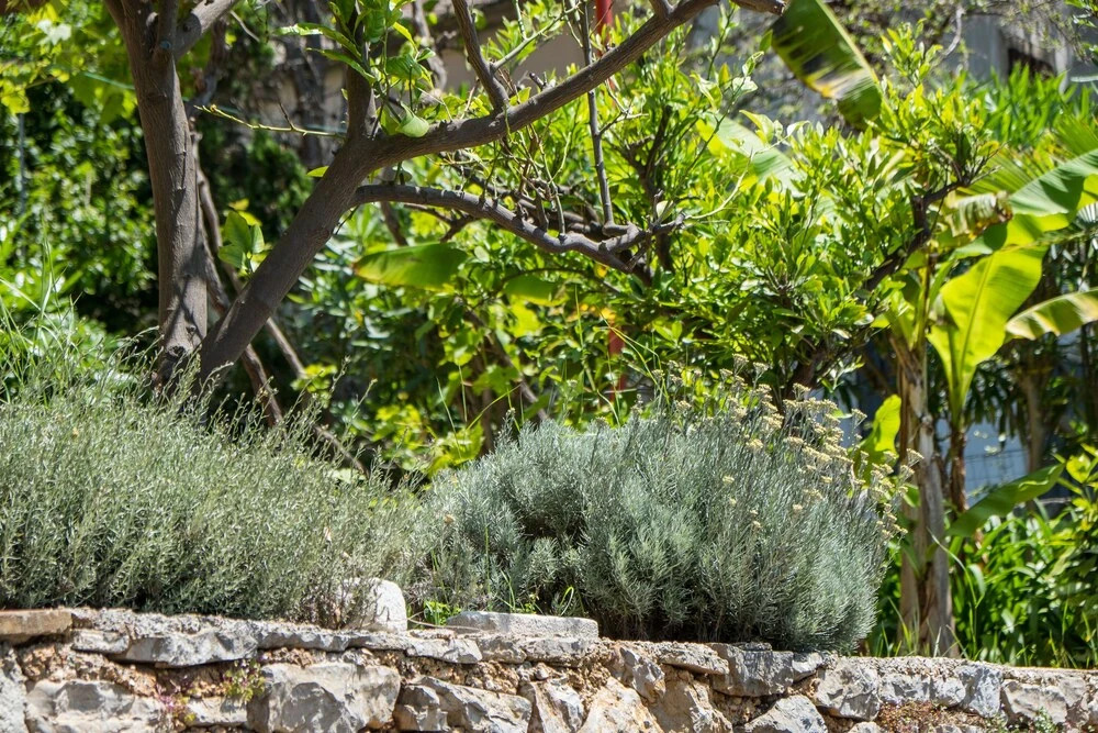 An Apartment Lavanda
