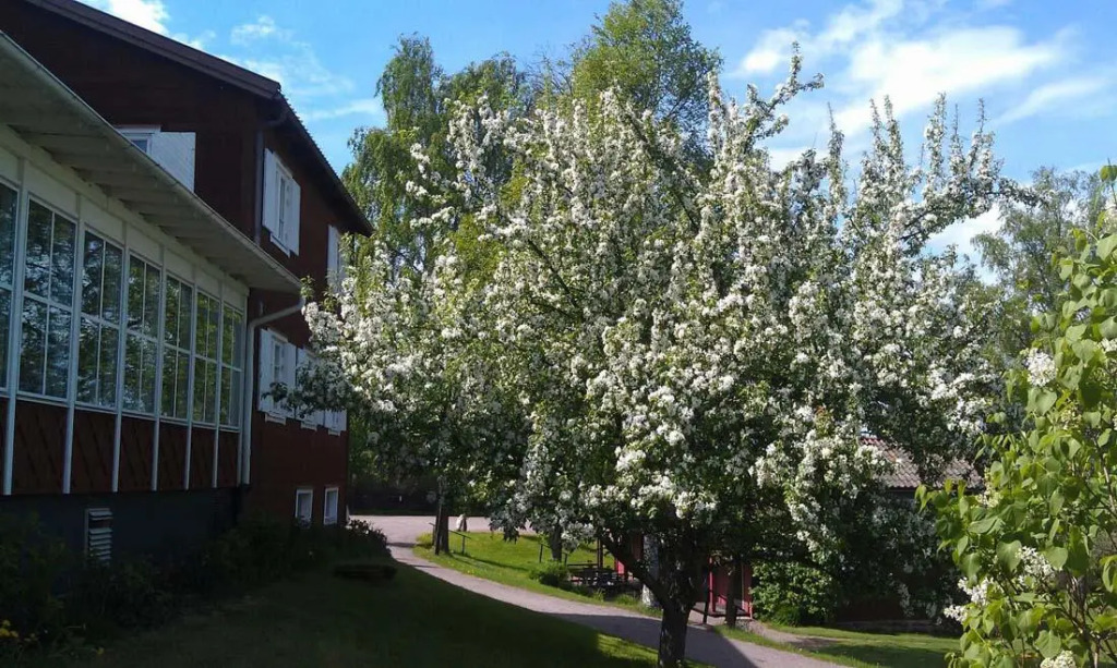 Hotell Gyllene Hornet