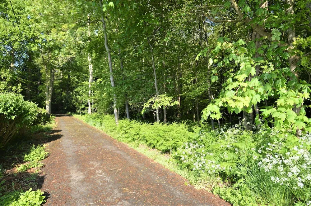 Maison de Campagne : Grand Jardin et Bois Privés