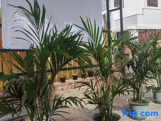 Guanlan Shiguang Homestay